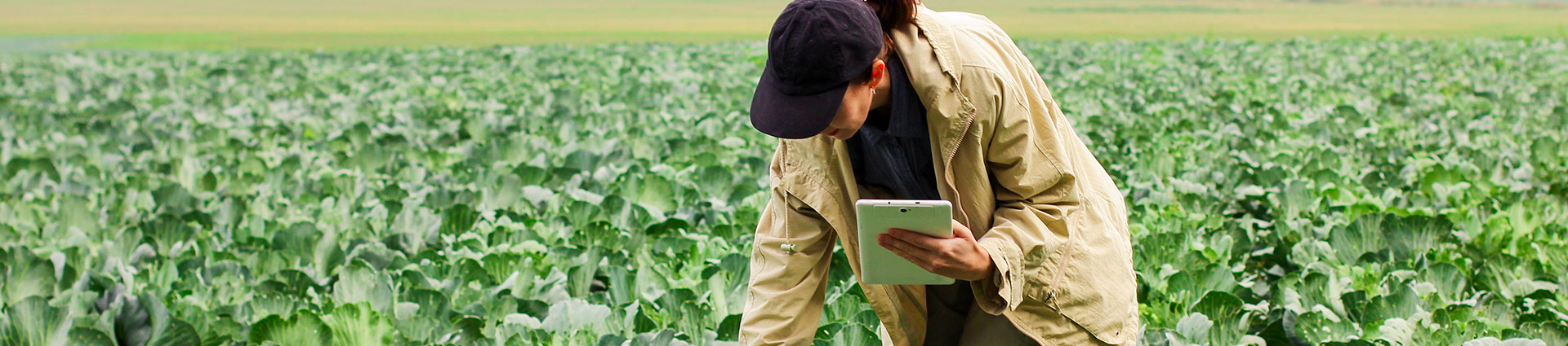 Escuela de Agricultura, Ganadería y Medio Ambiente